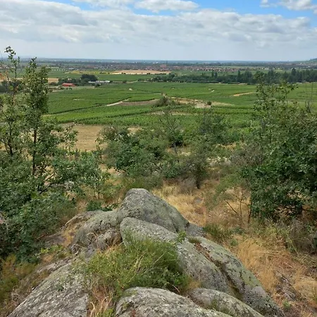 Gite Au Nid De Cigognes