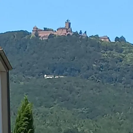 Gite Au Nid De Cigognes