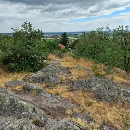 Gite Au Nid De Cigognes Tatil Evi Dieffenthal