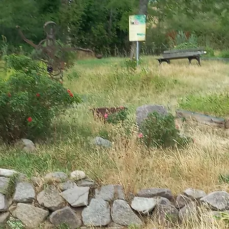 Gite Au Nid De Cigognes Tatil Evi *