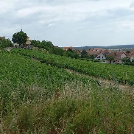 Gite Au Nid De Cigognes Tatil Evi