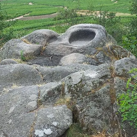 Tatil Evi Gite Au Nid De Cigognes Dieffenthal